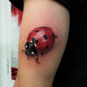 ladybug javi granged