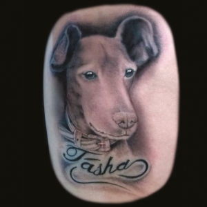 pet-tattoo
